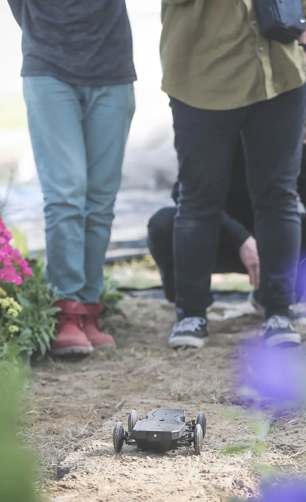 讓農場「開光」 太陽能辦到了!