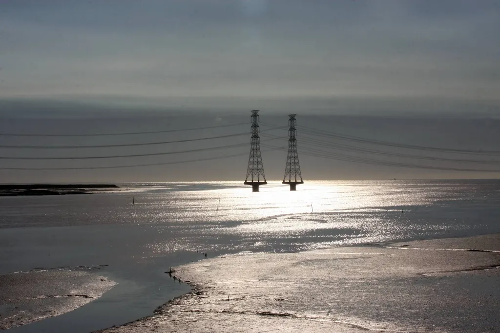 電網夠力、風光給力!再生能源衝上20%!