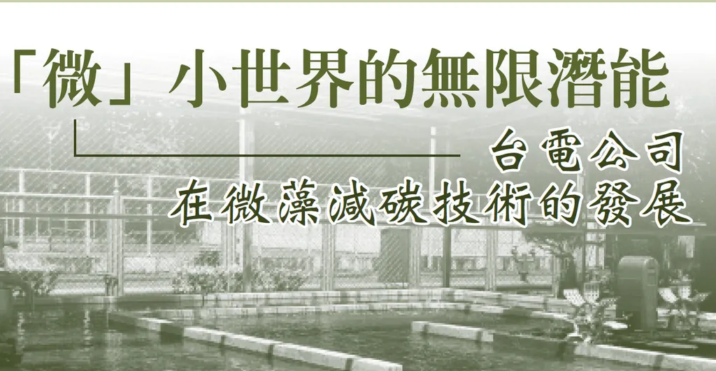 「微」小世界的無限潛能 台電公司在微藻減碳技術的發展